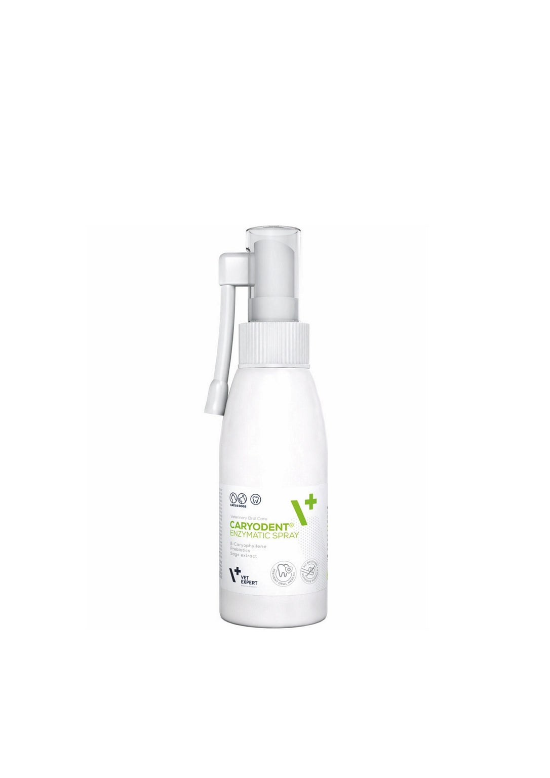 CARYODENT ENZYMATIC SPRAY